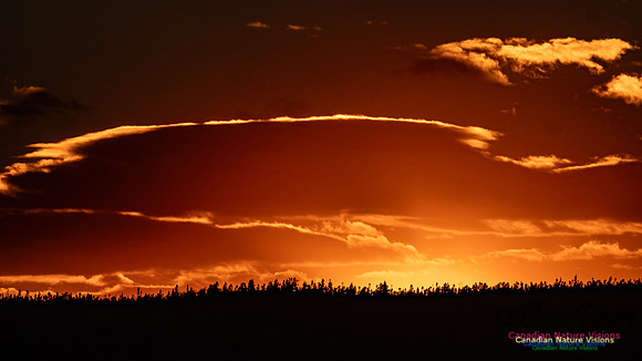 Peggy's Cove Sunset 902