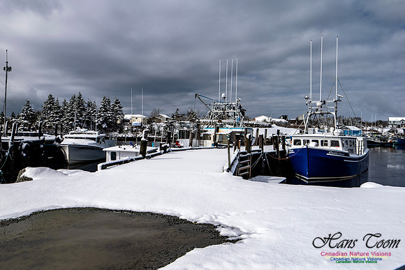 April Snow in Nova Scotia 207