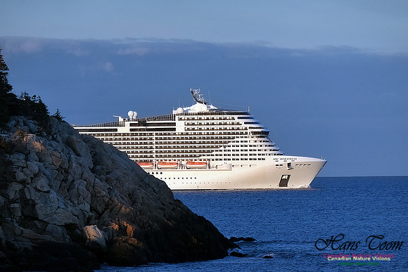 MSC Meraviglia 105