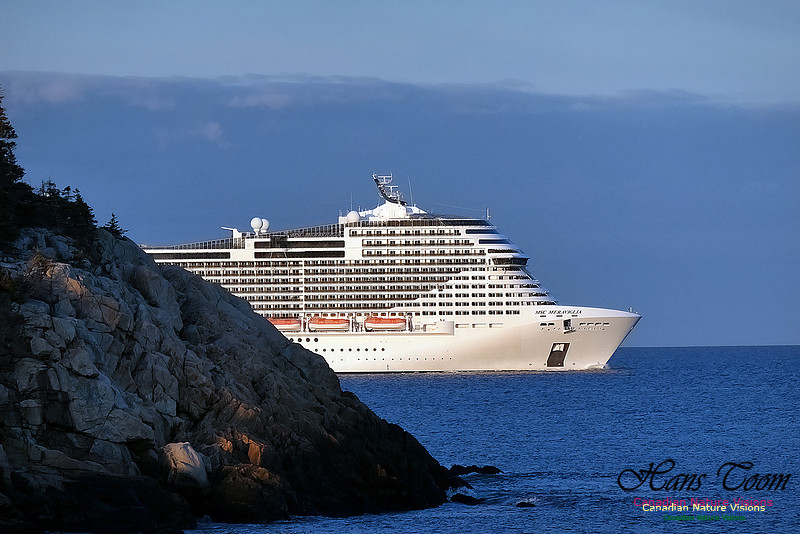 MSC Meraviglia 105