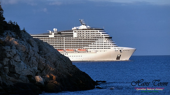 MSC Meraviglia 106