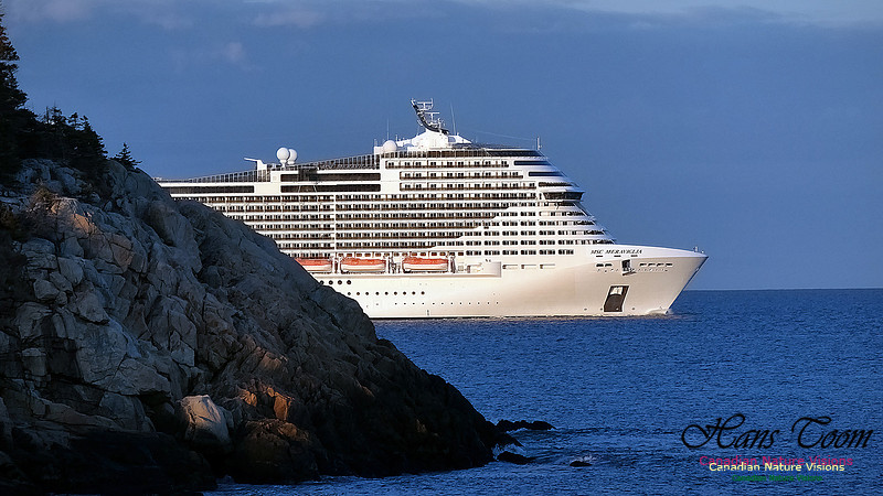 MSC Meraviglia 106