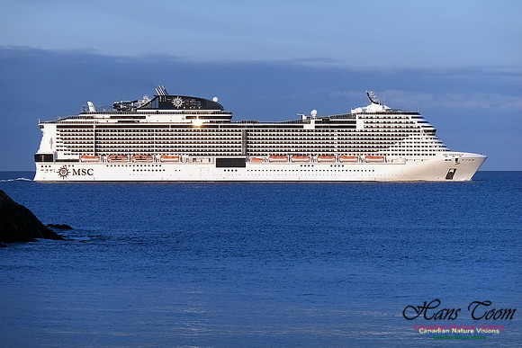 MSC Meraviglia 102