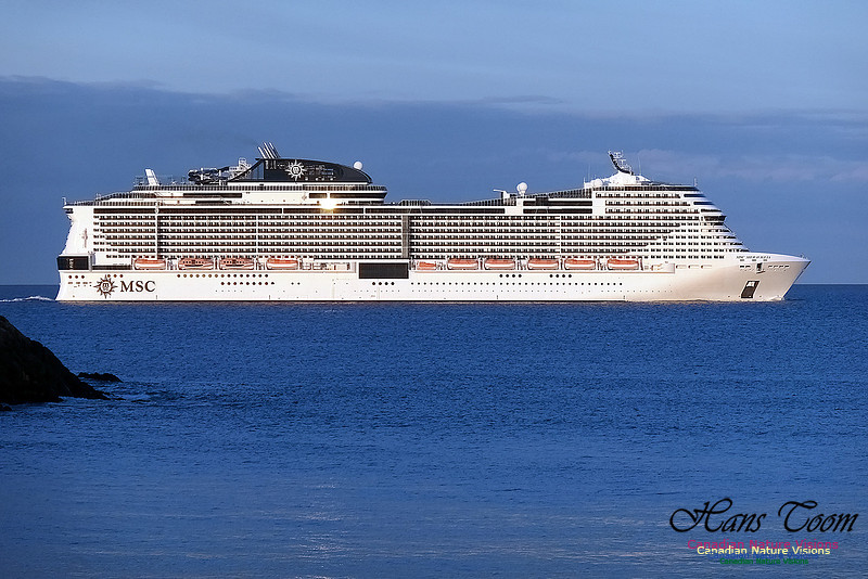 MSC Meraviglia 102