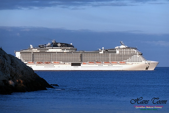 MSC Meraviglia 103