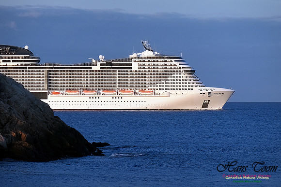 MSC Meraviglia 104