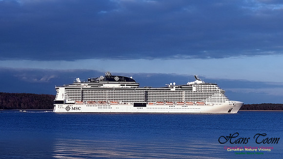MSC Meraviglia 107