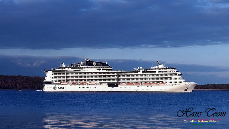 MSC Meraviglia 107