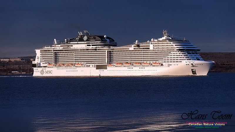 MSC Meraviglia 108
