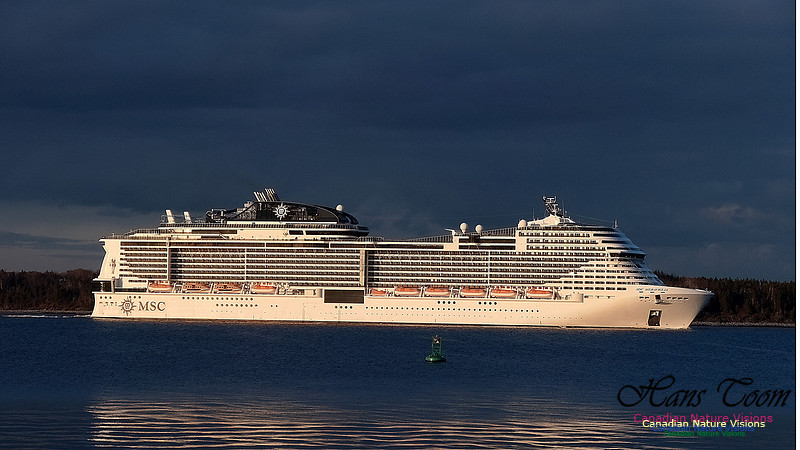 MSC Meraviglia 109
