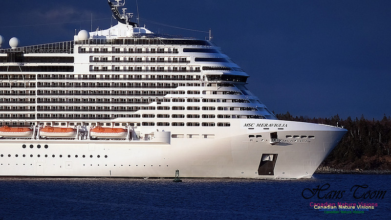 MSC Meraviglia 110
