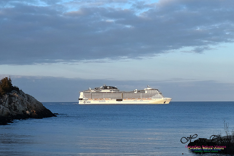 MSC Meraviglia 101