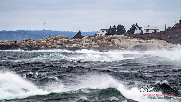 Blustery Day 903