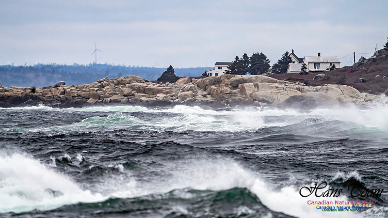 Blustery Day 903