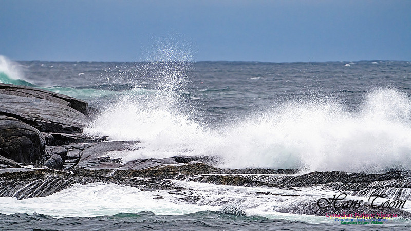 Blustery Day 902