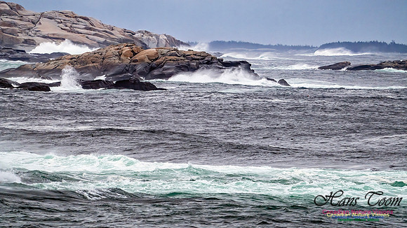 Blustery Day 905