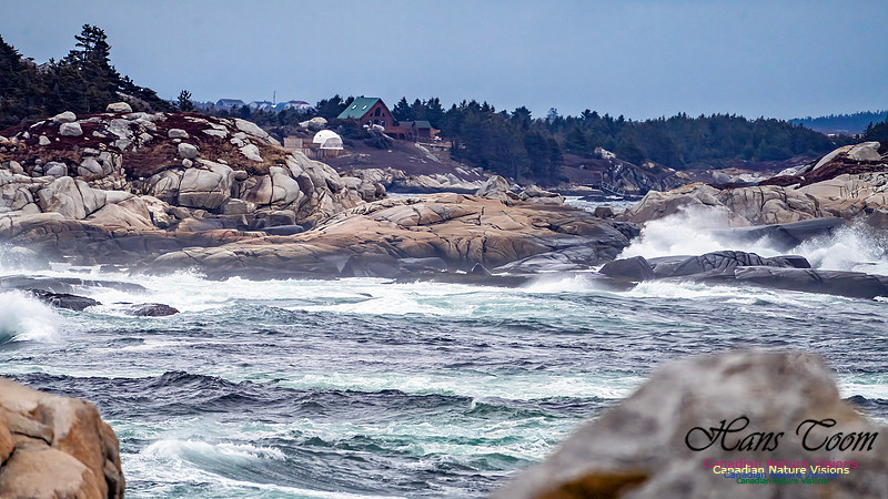 Blustery Day 908