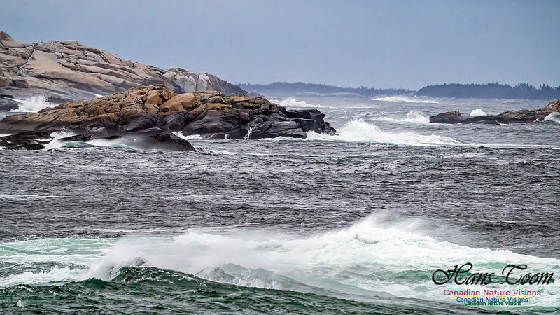 Blustery Day 911