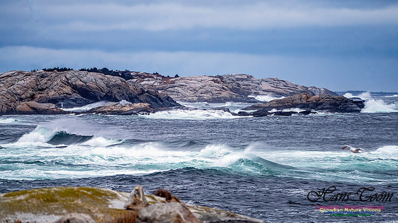 Blustery Day 915