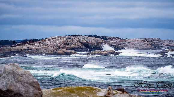 Blustery Day 913