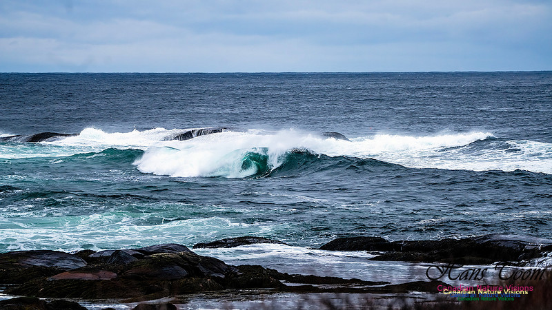 Blustery Day 916