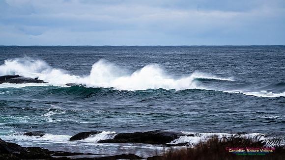 Blustery Day 917