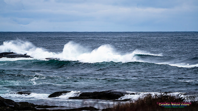 Blustery Day 917