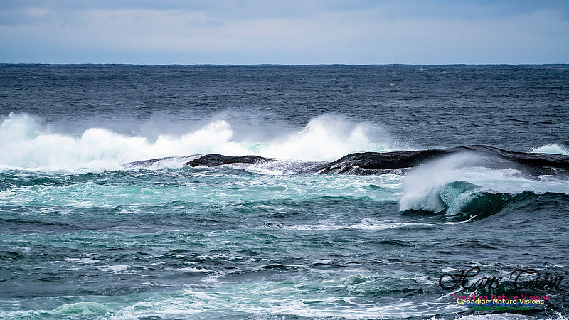 Blustery Day 921