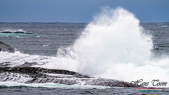 Blustery Day 901