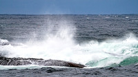 Blustery Day Along Nova Scotia Coast
