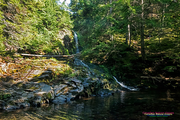 Butcher's Falls