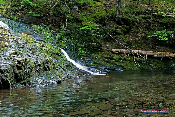 Butcher's Falls