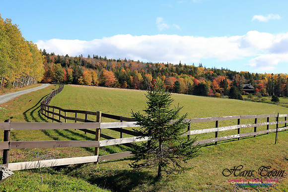 FallColours2016-1039