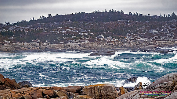 November Gale 1 110