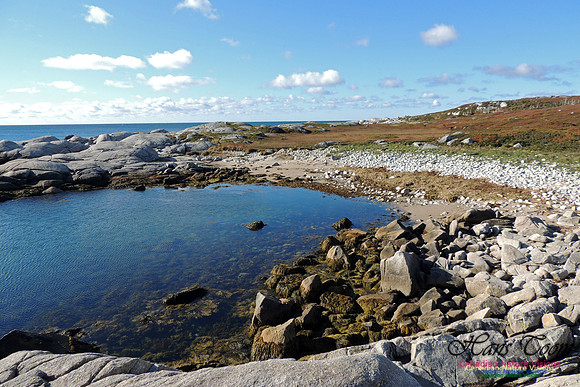 Coastal Barrens of Pennant Peninsula