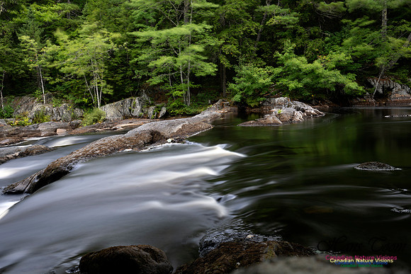 Living Water 105