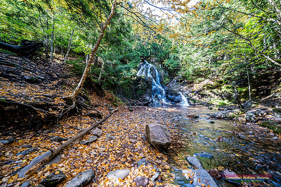 Wentworth Falls Trip 115