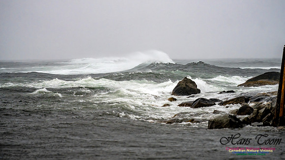 Nova Scotia Gale 2024-09-07 199