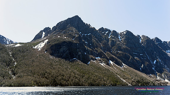 Western Brook Pond 244