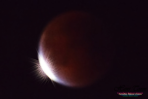 SuperMoonEclipseSept27,2015-25-1