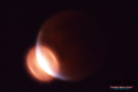 SuperMoonEclipseSept27,2015-25-2