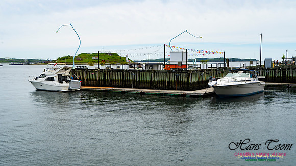 Halifax Waterfront Stroll 131