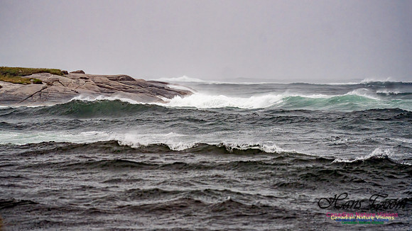 Nova Scotia Gale 2024-09-07 144