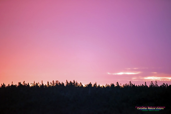 North Point Brier Island Sunrise
