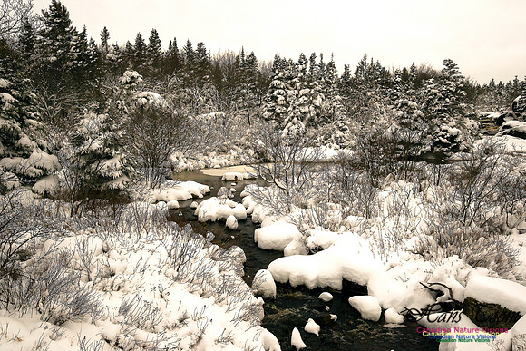 Pennant River