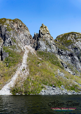 Western Brook Pond 152(the tin man)