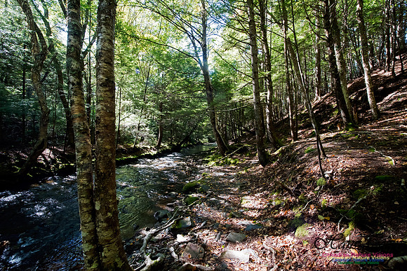 Butcher's Falls