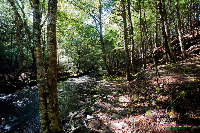 Butcher's Falls