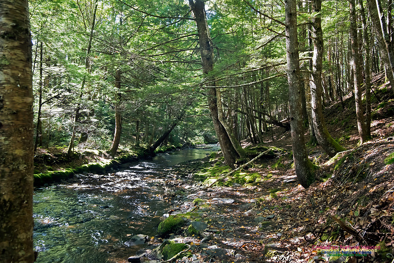 Butcher's Falls