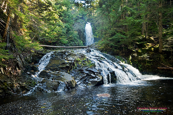 Butcher's Falls